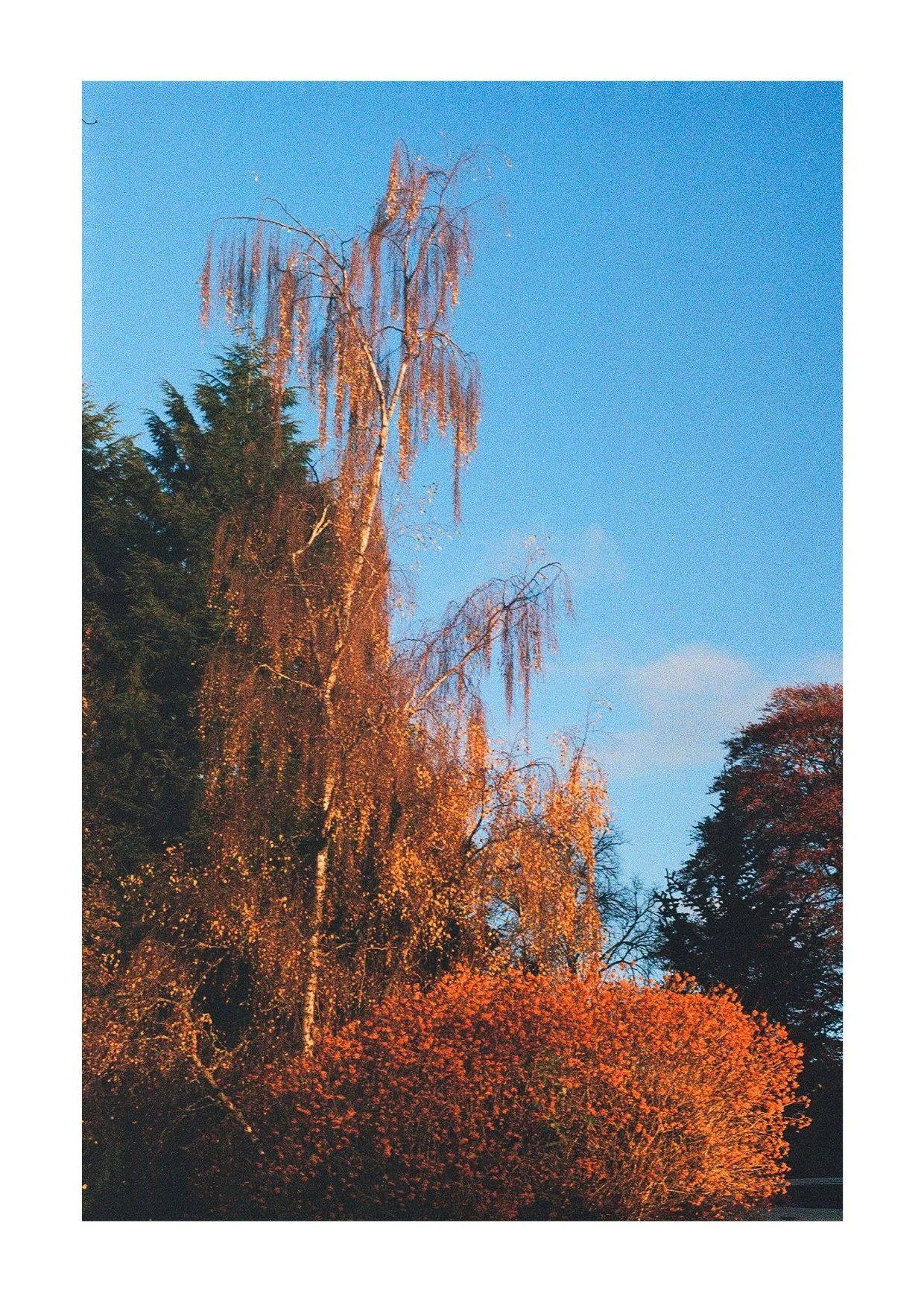 CARTE POSTALE - LES SAISONS