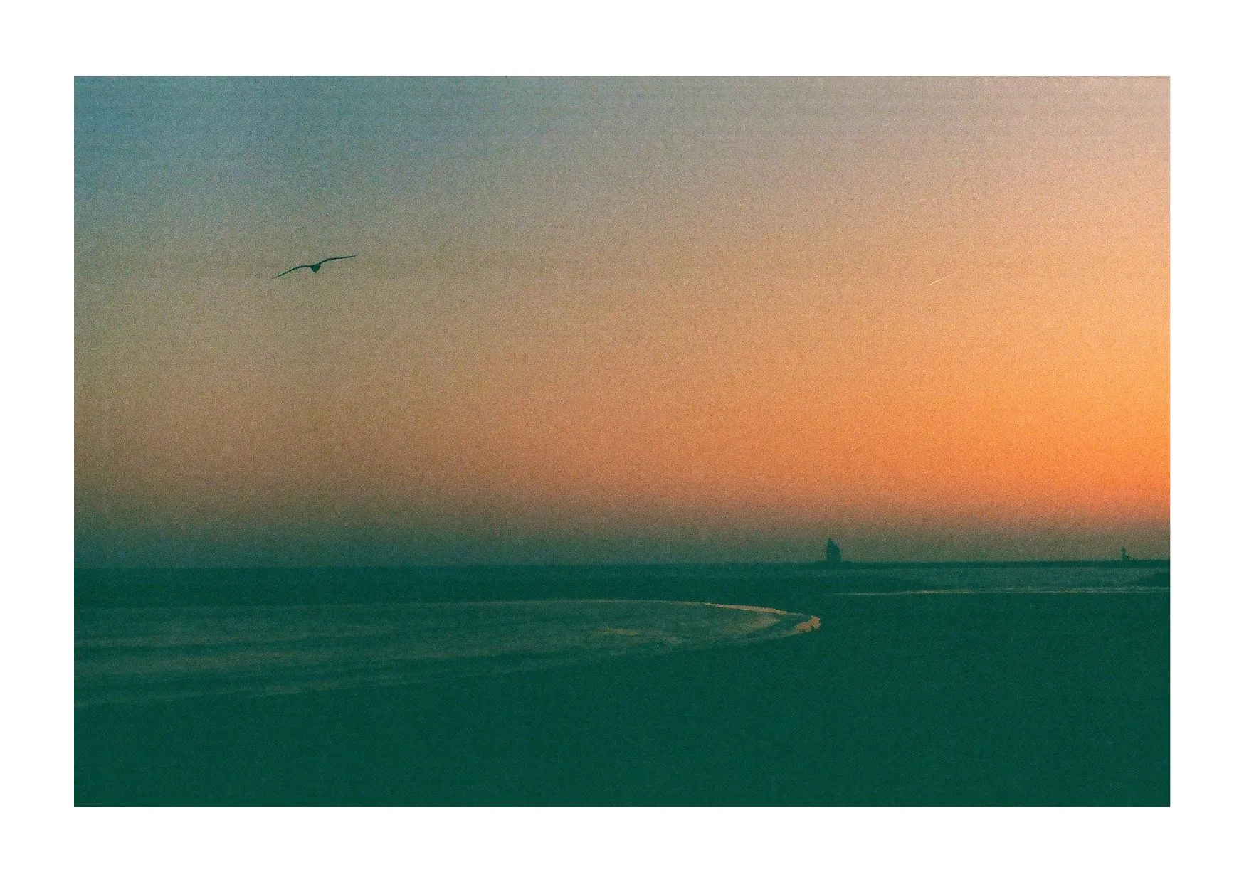 CARTE POSTALE - LENDEMAIN