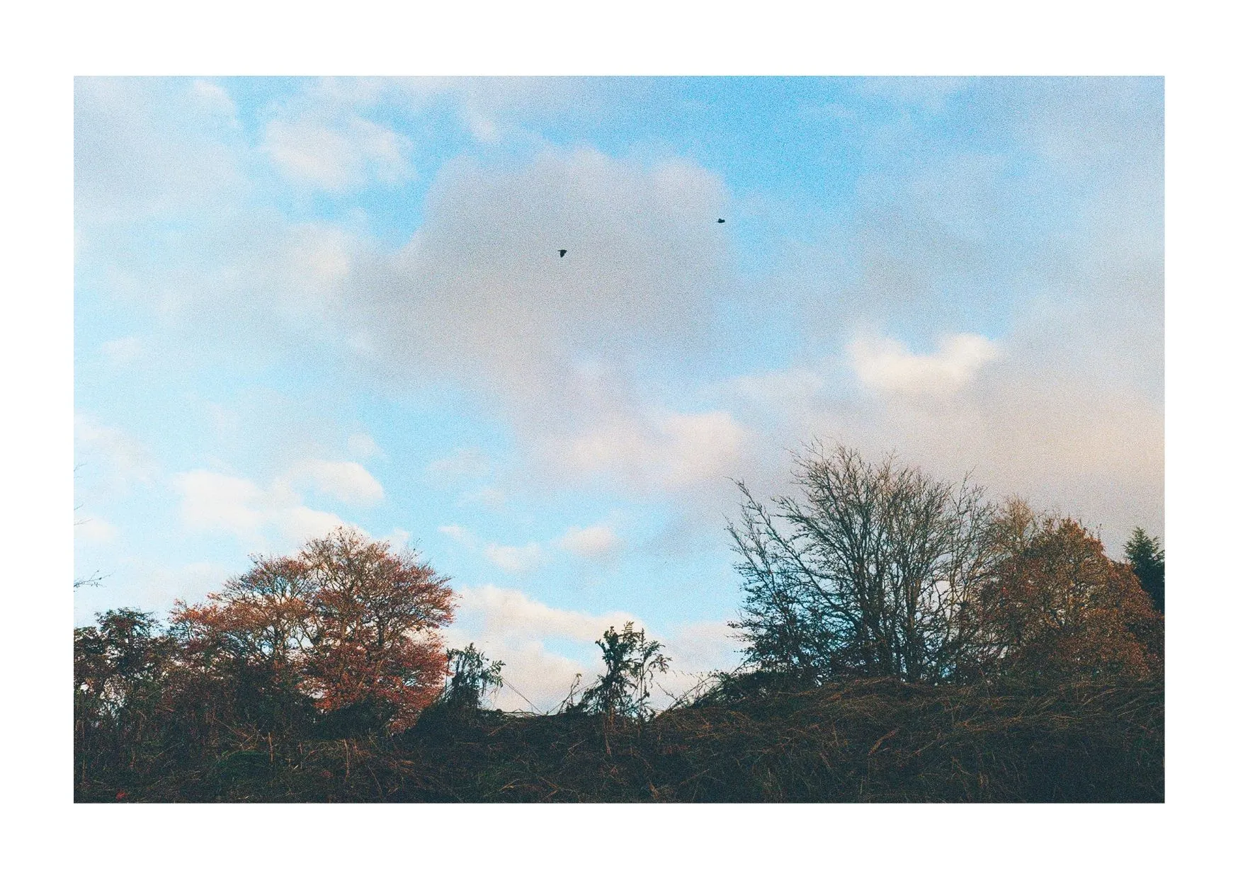 CARTE POSTALE - HIVER