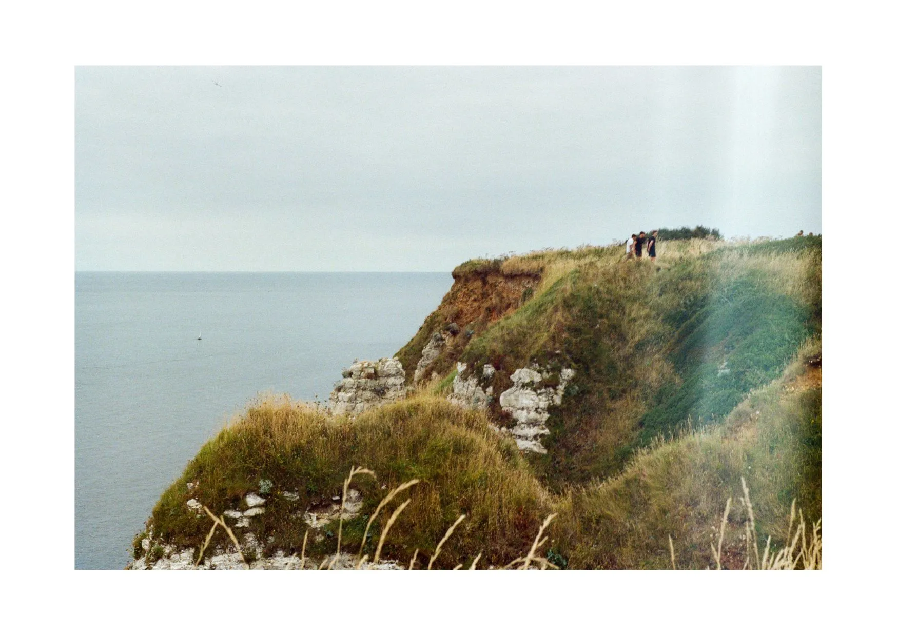 CARTE POSTALE - HAUTES HERBES