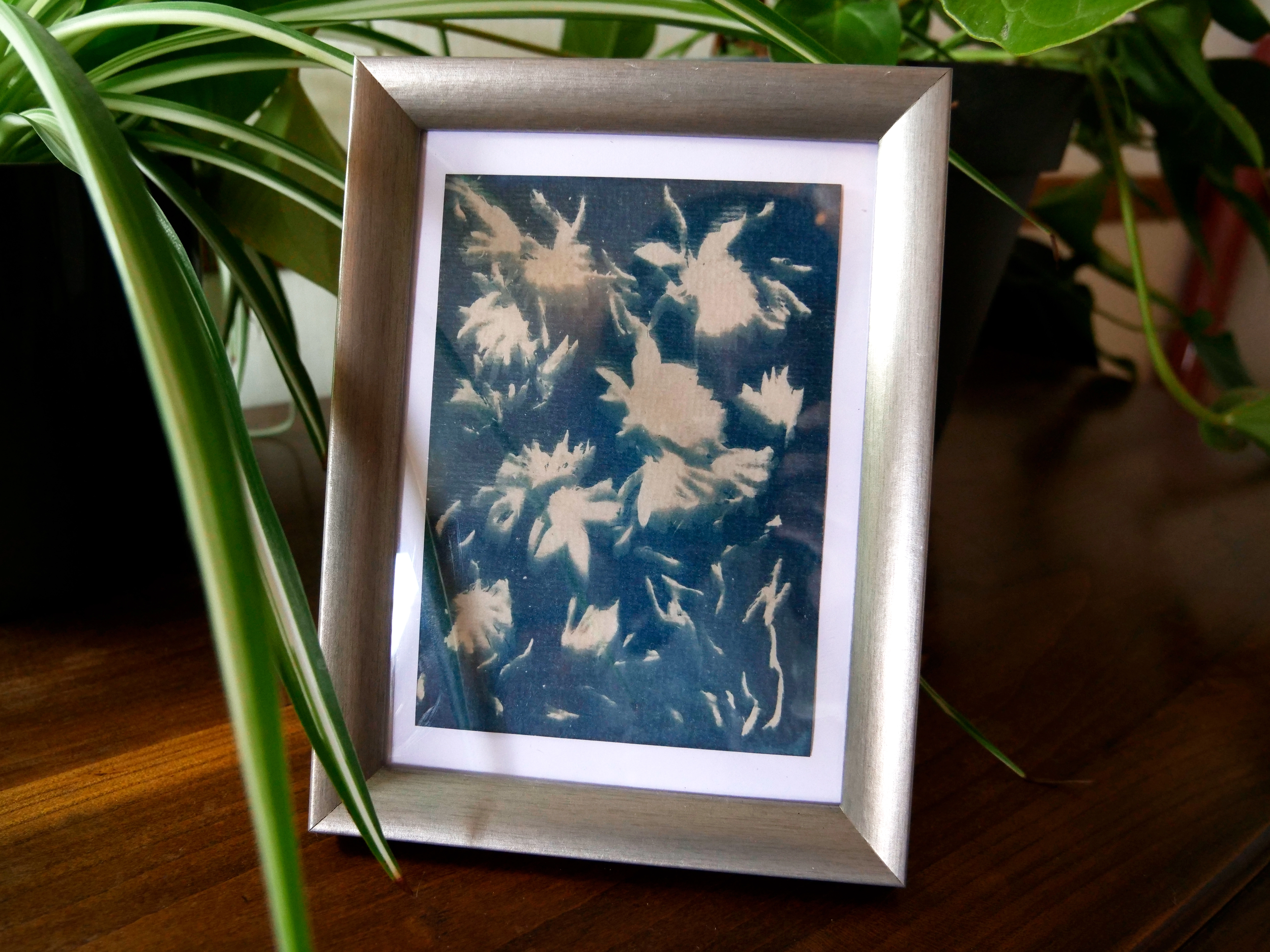 Petit cadre cyanotype - LES FLEURS