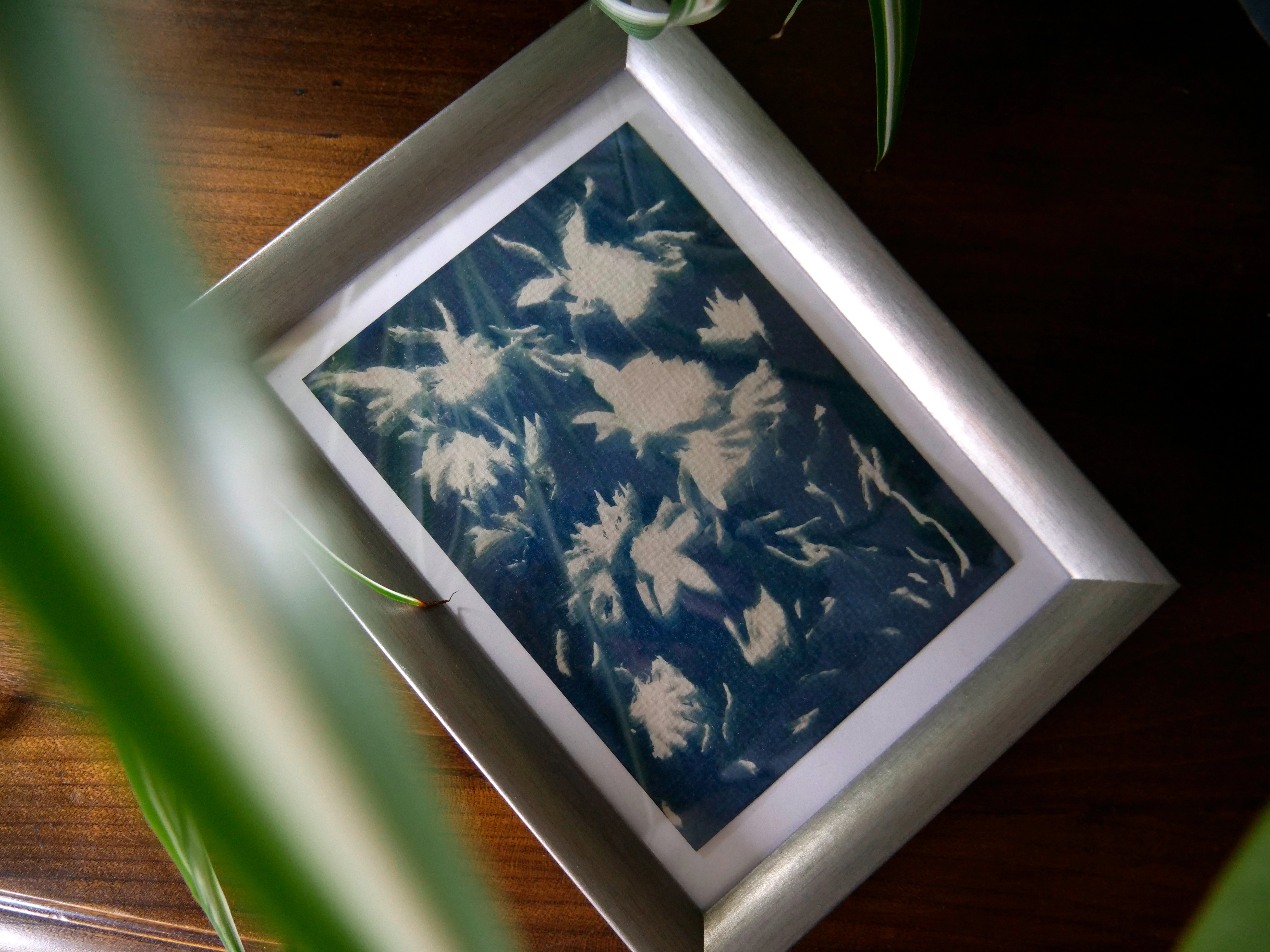 Petit cadre cyanotype - LES FLEURS