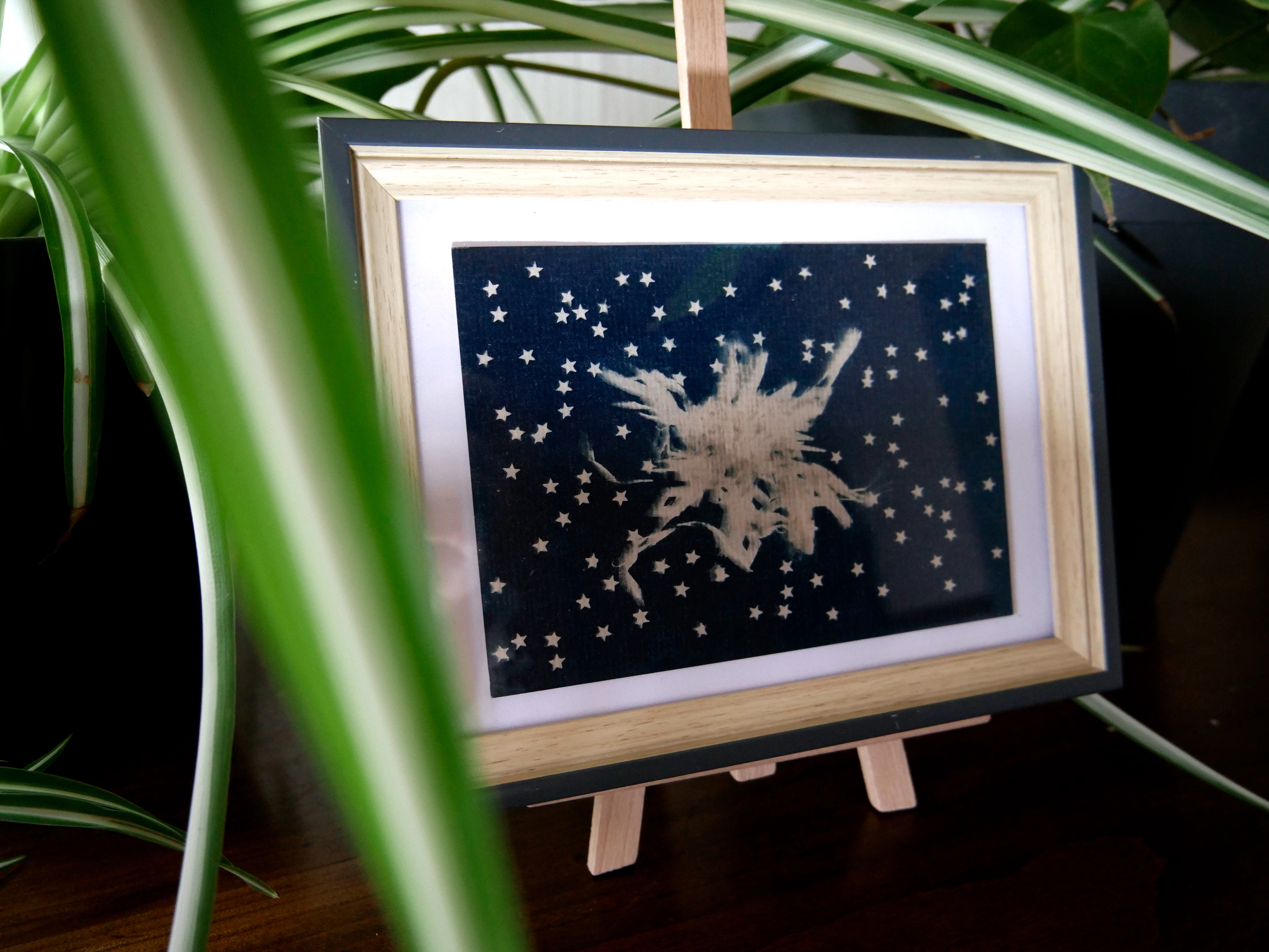Petit cadre cyanotype - NUIT ETOILEE