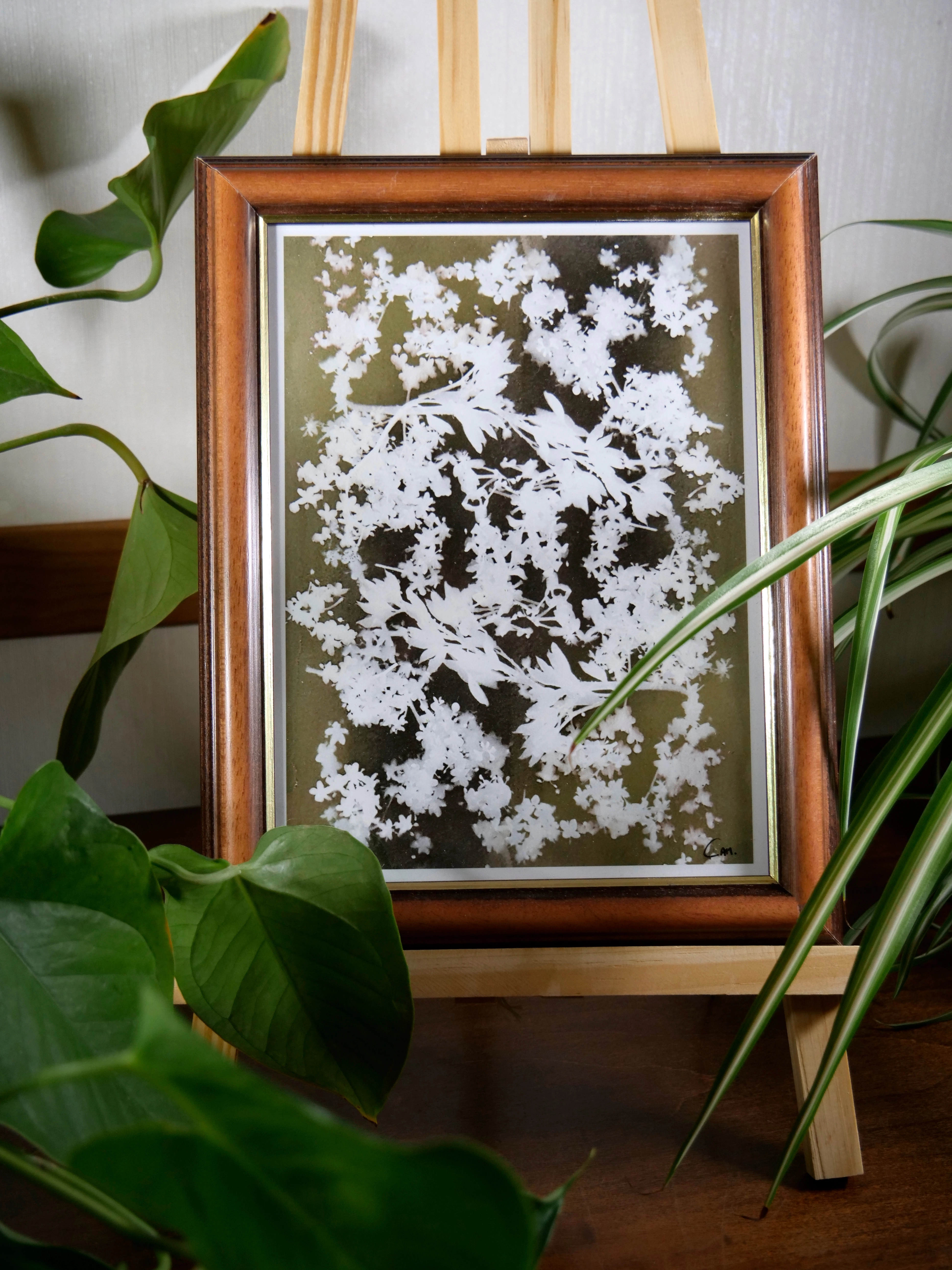 Cadre FLORAISON