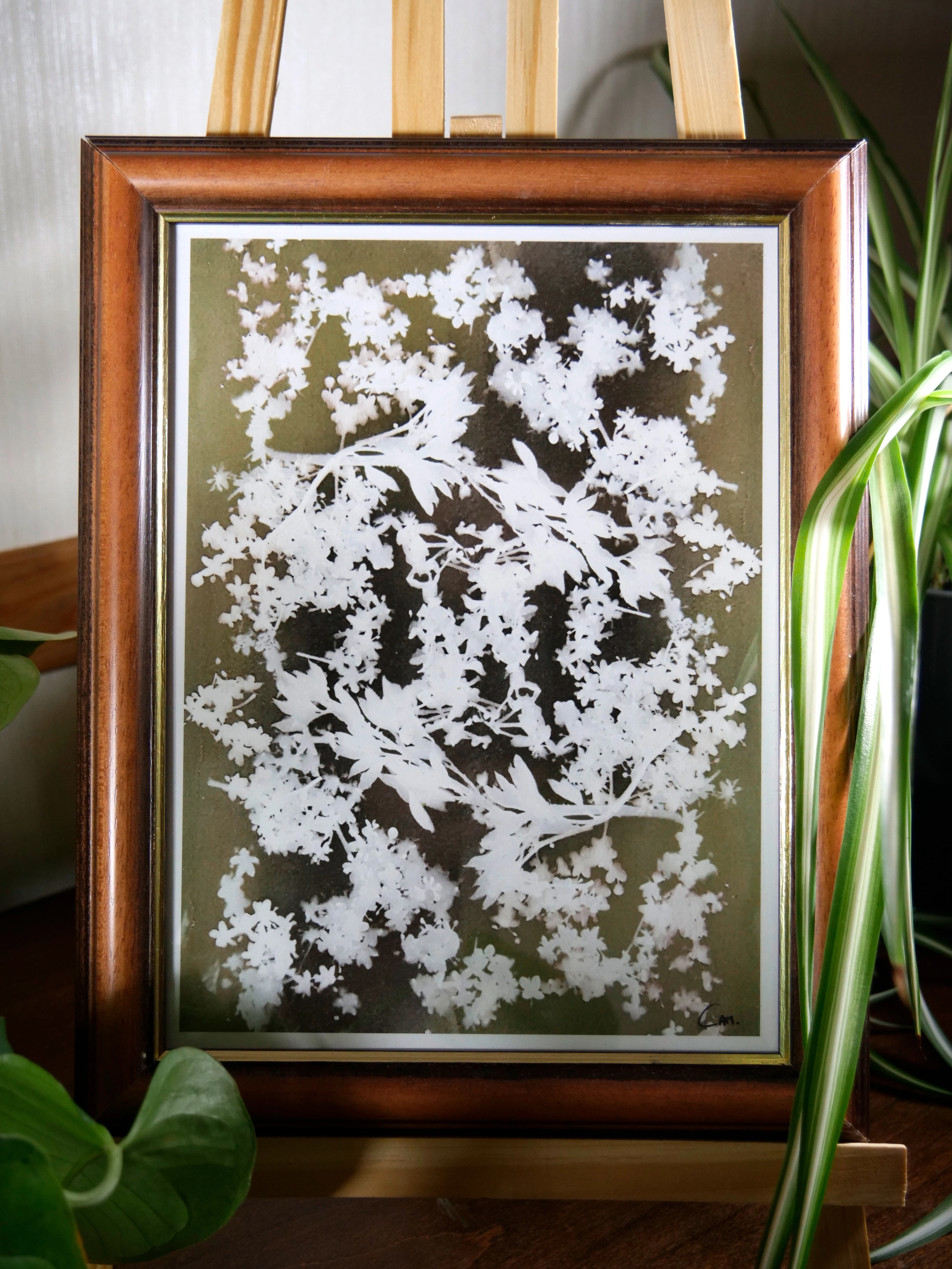 Cadre FLORAISON
