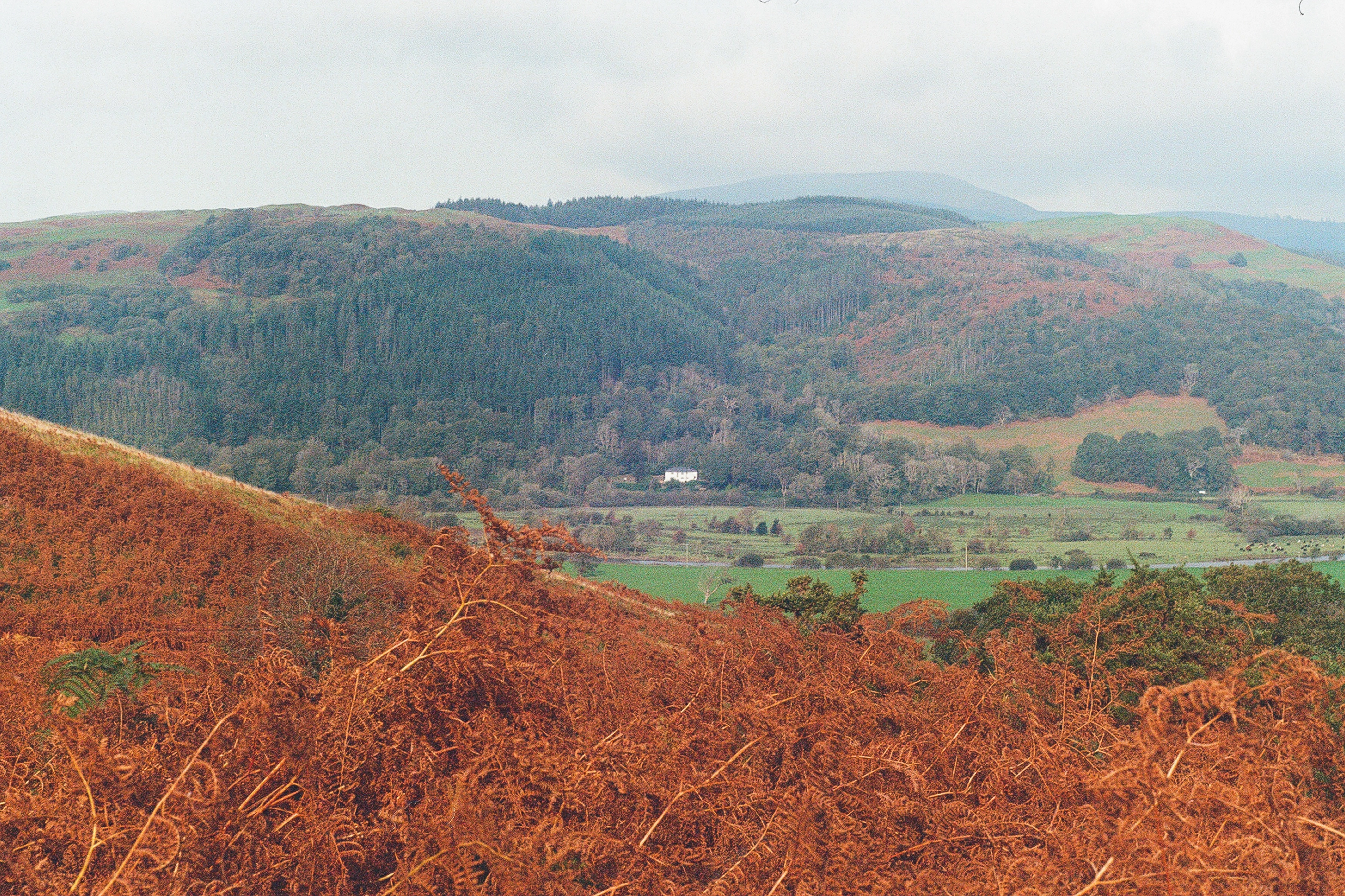 Cadre AUTOMNE