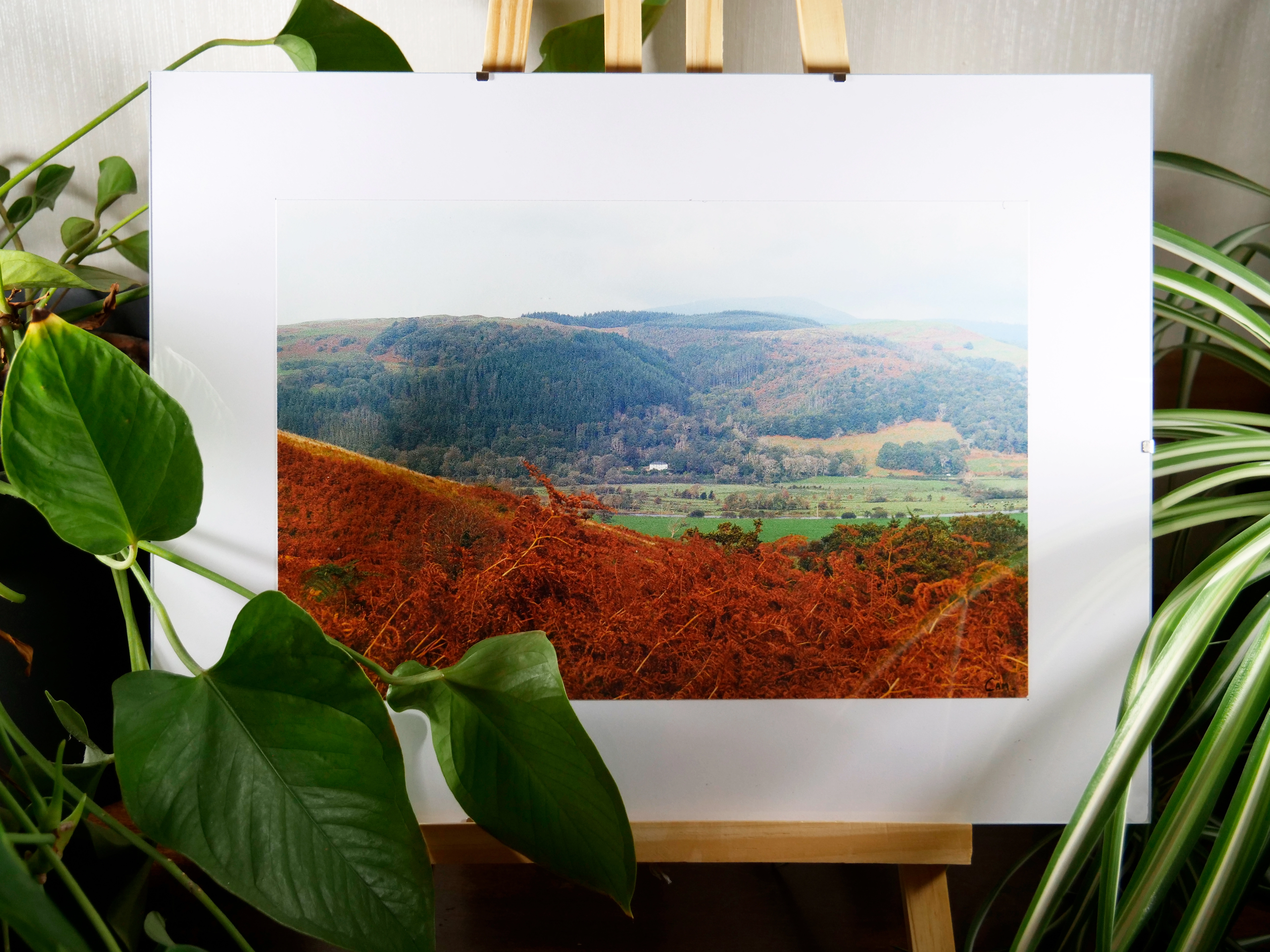 Cadre AUTOMNE