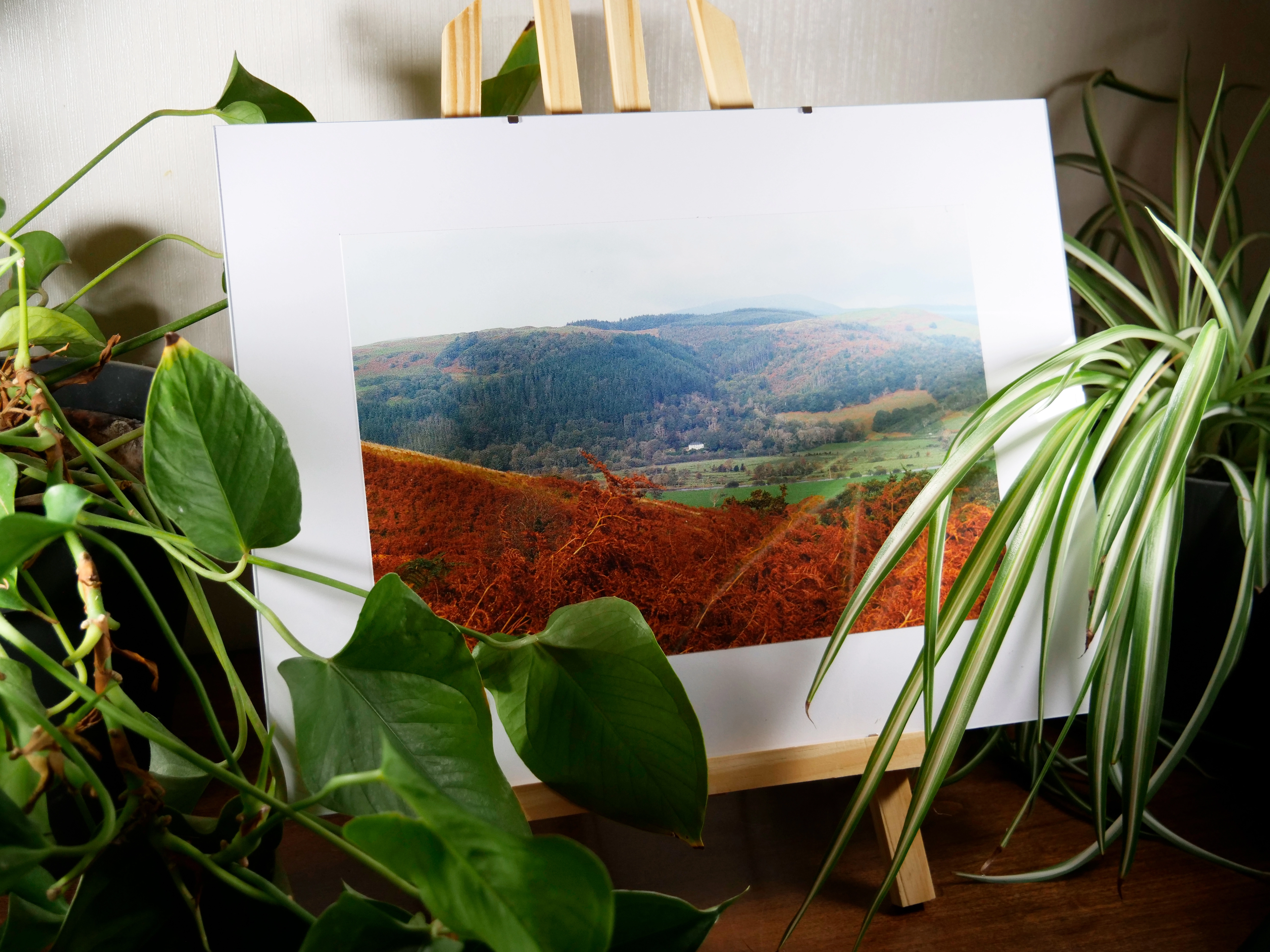 Cadre AUTOMNE