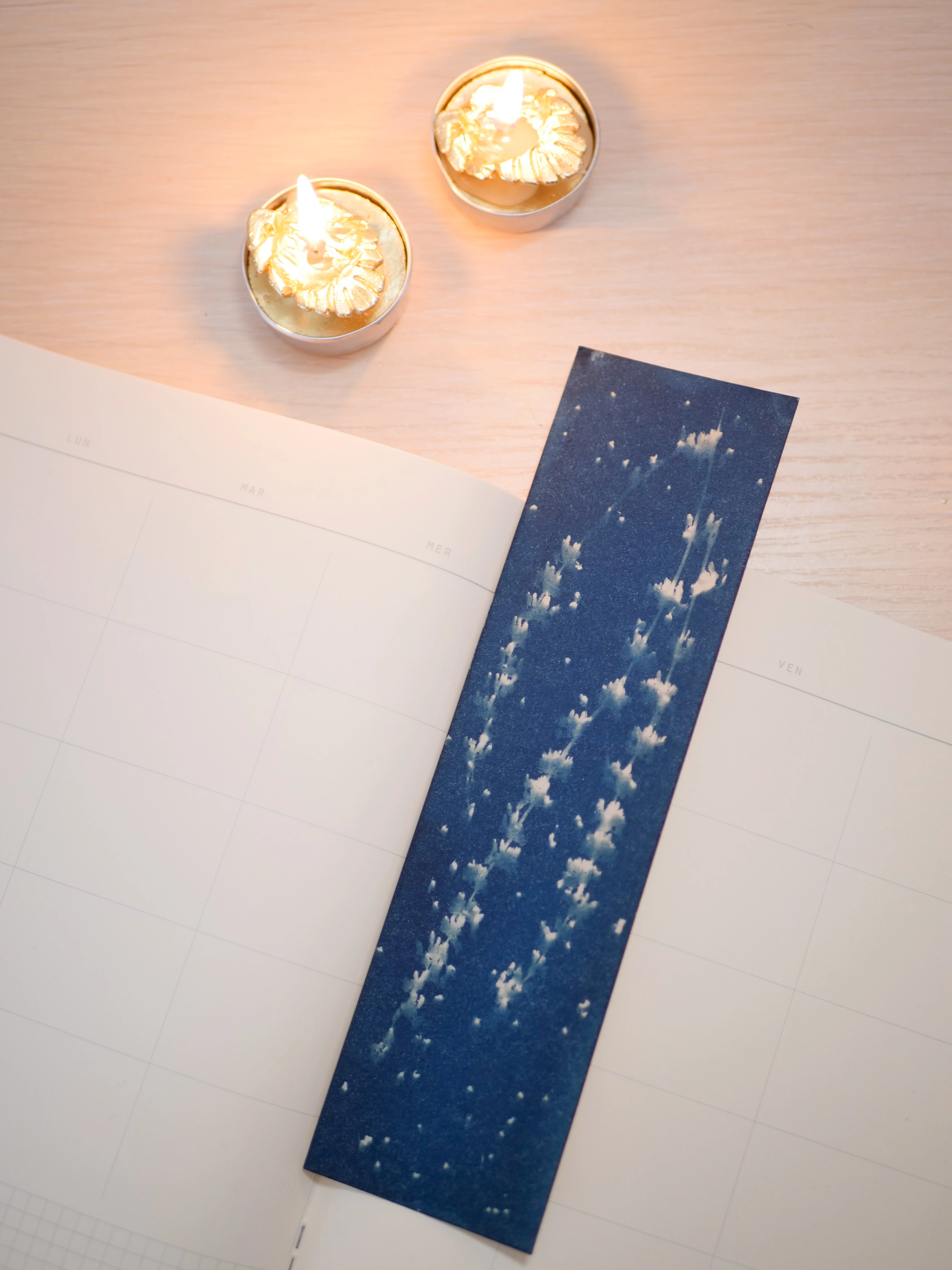 Lot de 3 marque-pages