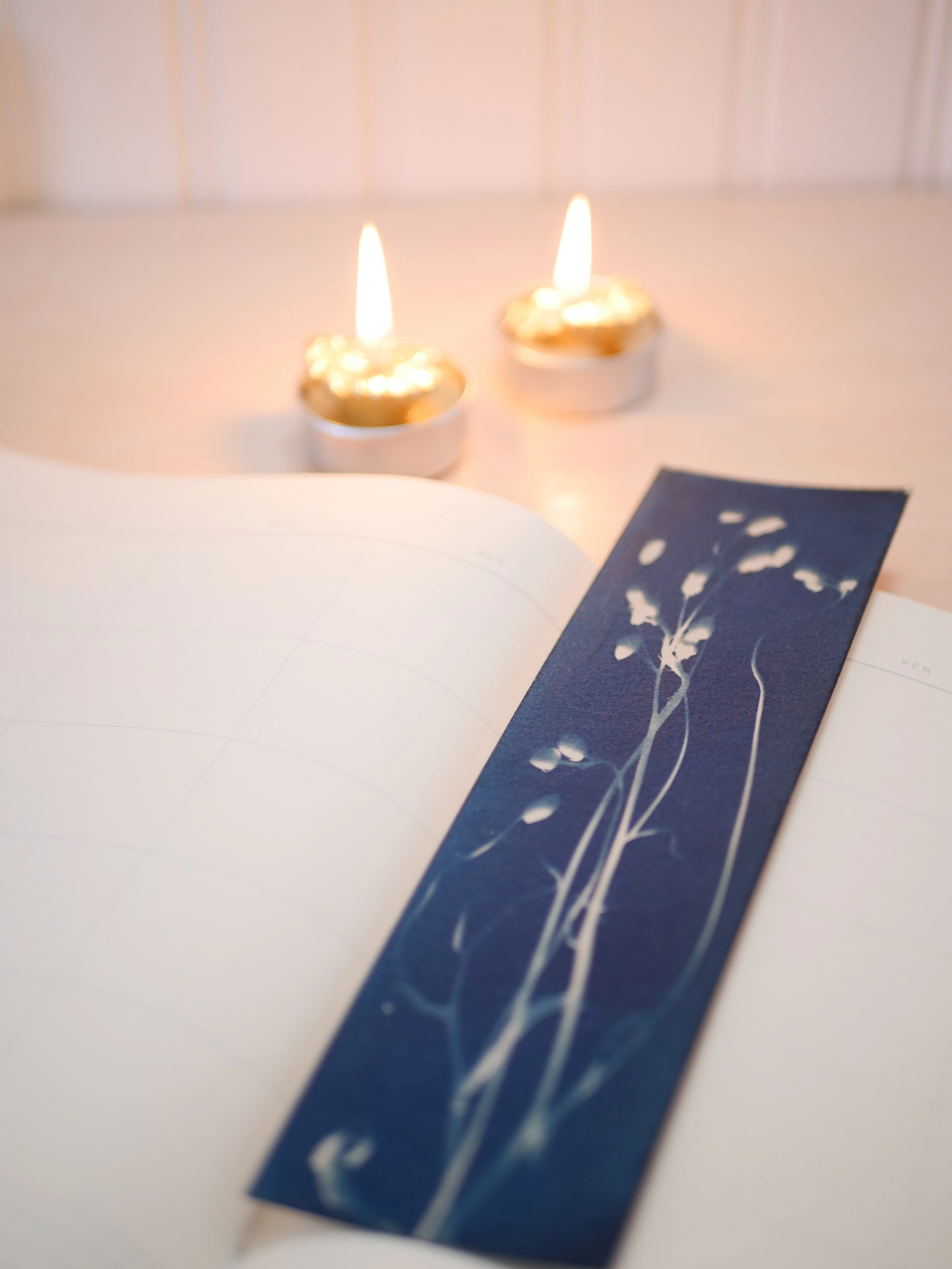 Lot de 3 marque-pages