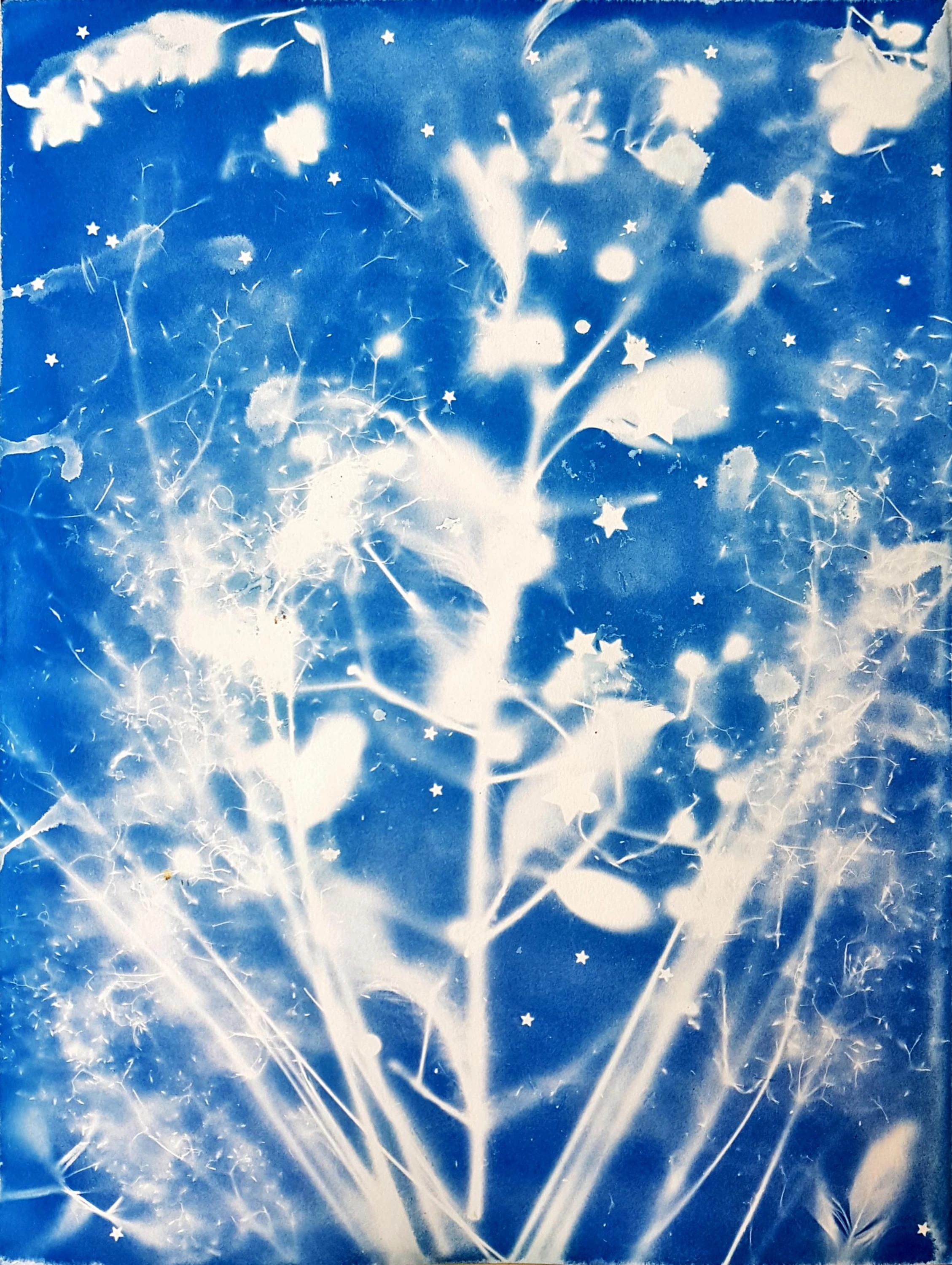 Cyanotype original sous verre
