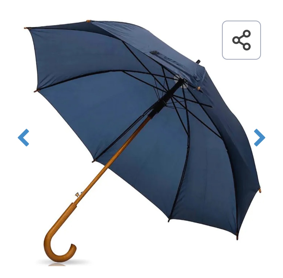 ROC Club 慈善捐贈「自動雨傘」