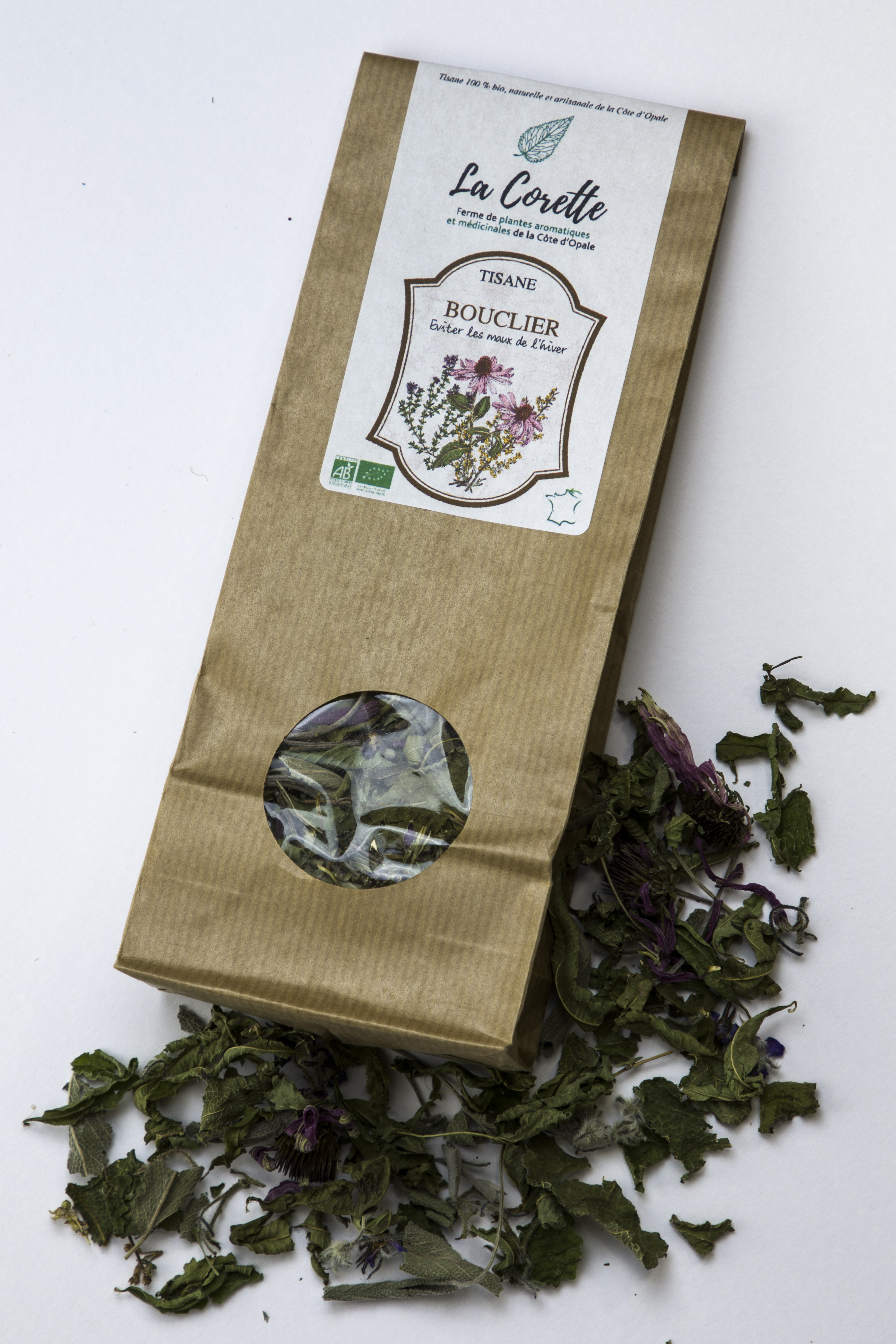 Tisane Bouclier