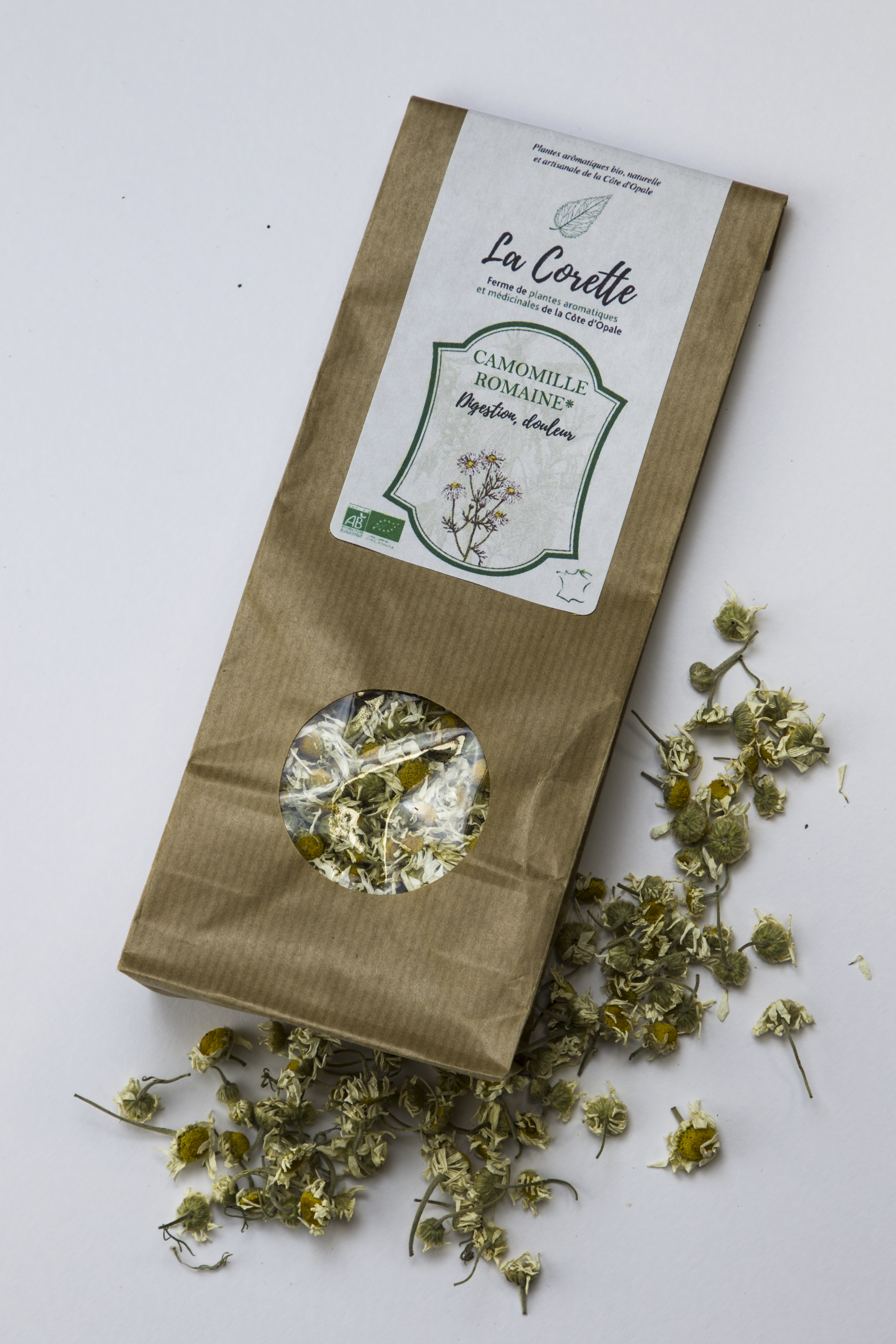 Plante simple Camomille Romaine