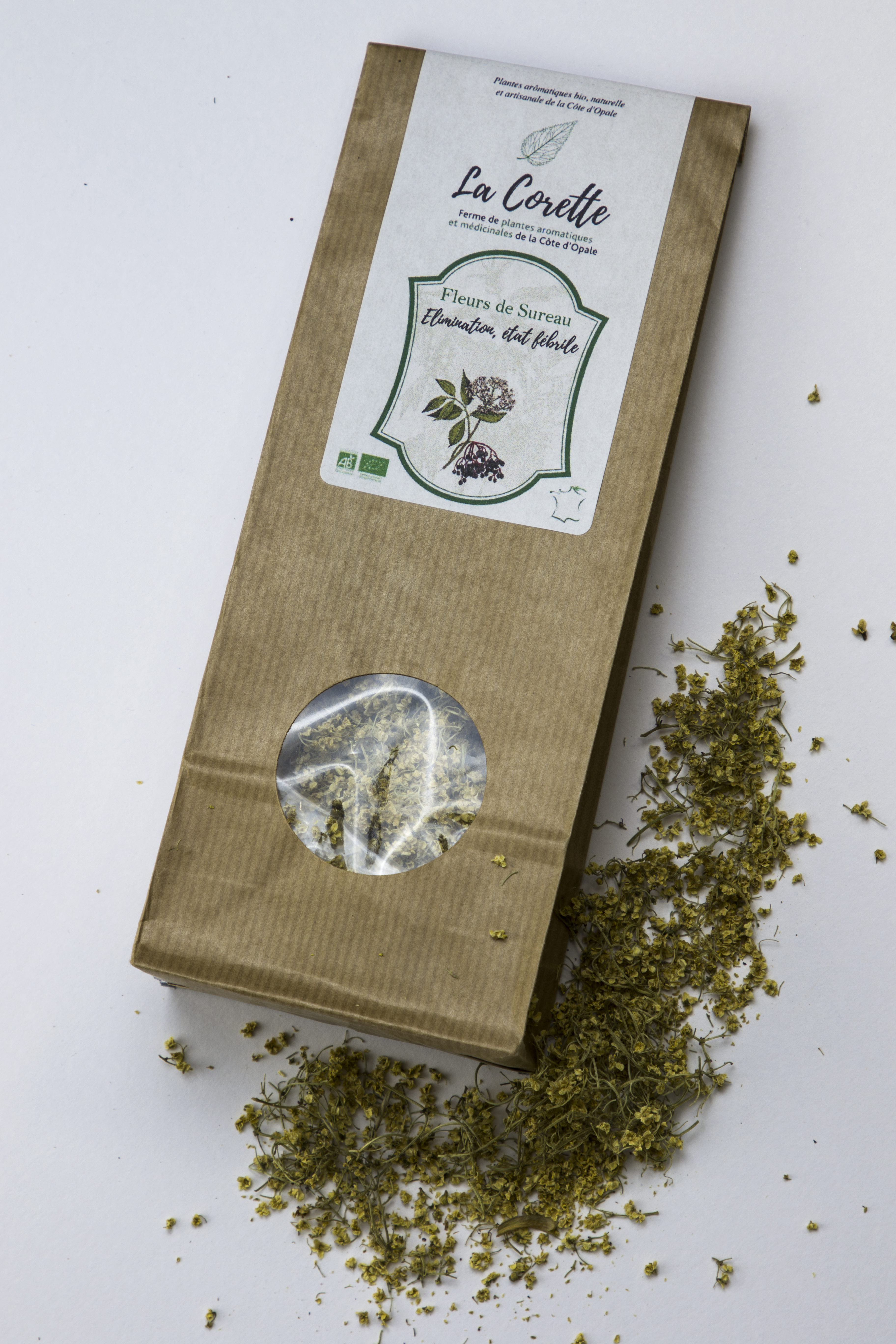 Plante simple Fleur de Sureau