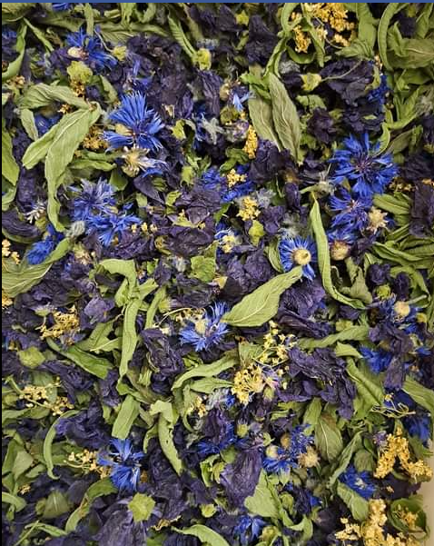 Tisane Transit