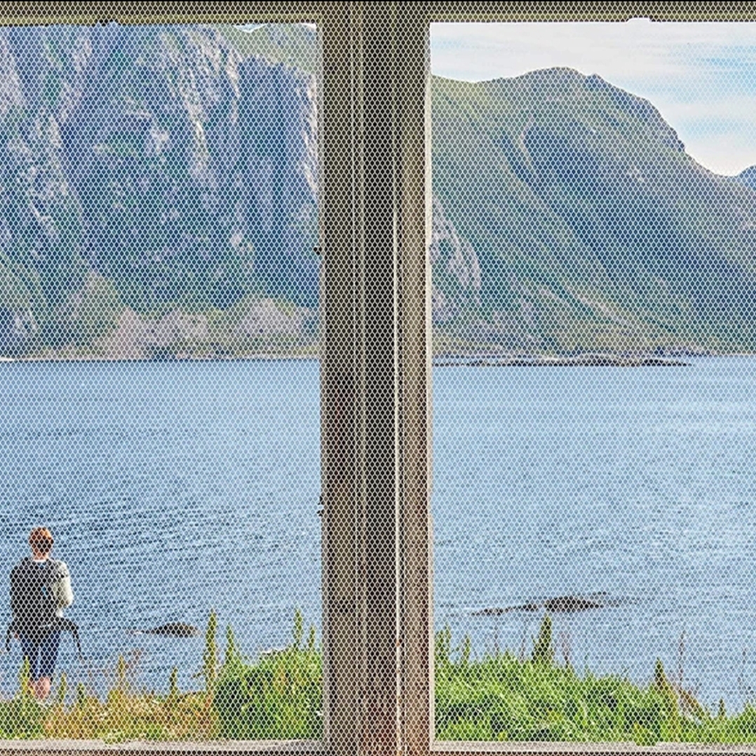 Window screen