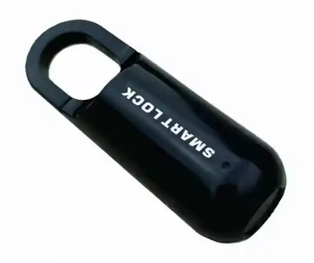 Fingerprint Lock