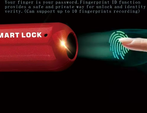 Fingerprint Lock
