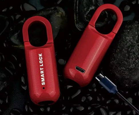 Fingerprint Lock