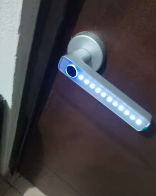 Fingerprint Door Lock