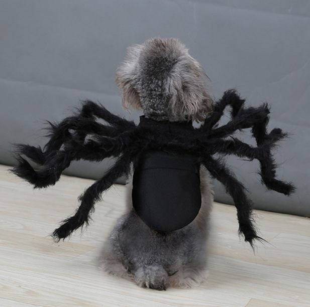 Spider Dog Costume