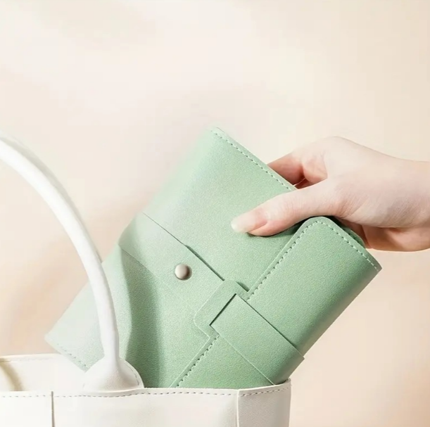 Earring Organizer Book