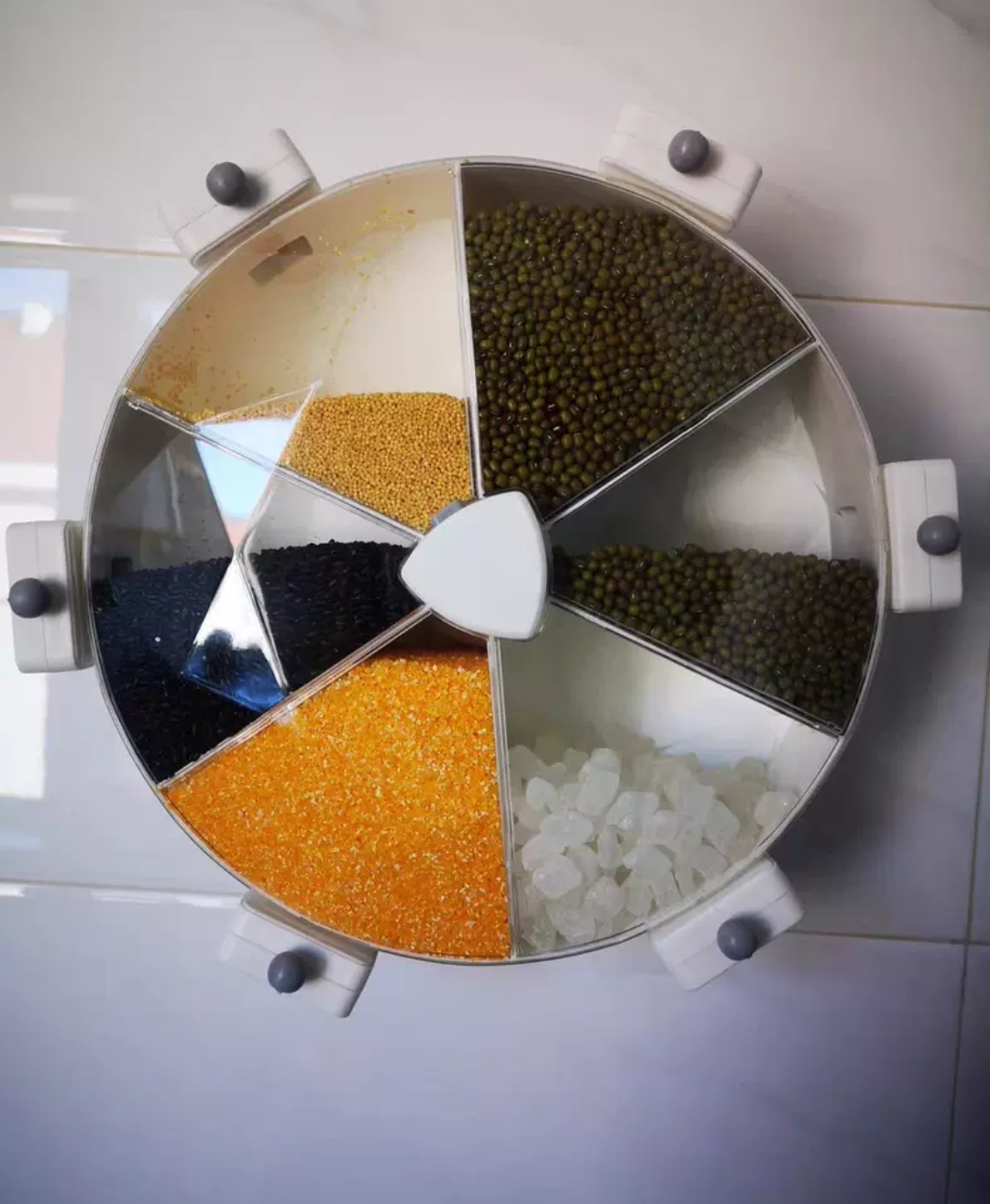 Wall-Mounted Food Dispenser