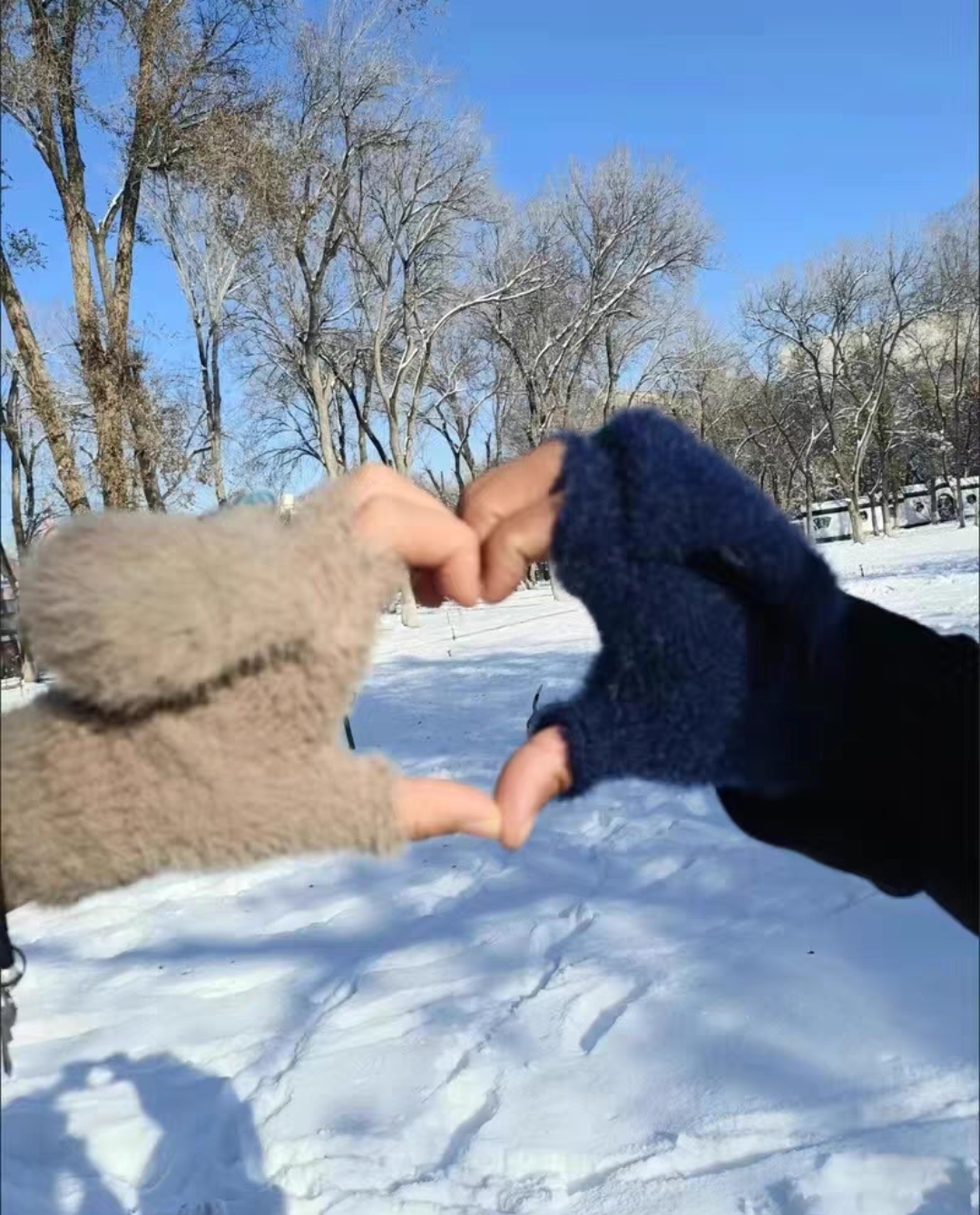 Fingerless Faux Fur Gloves