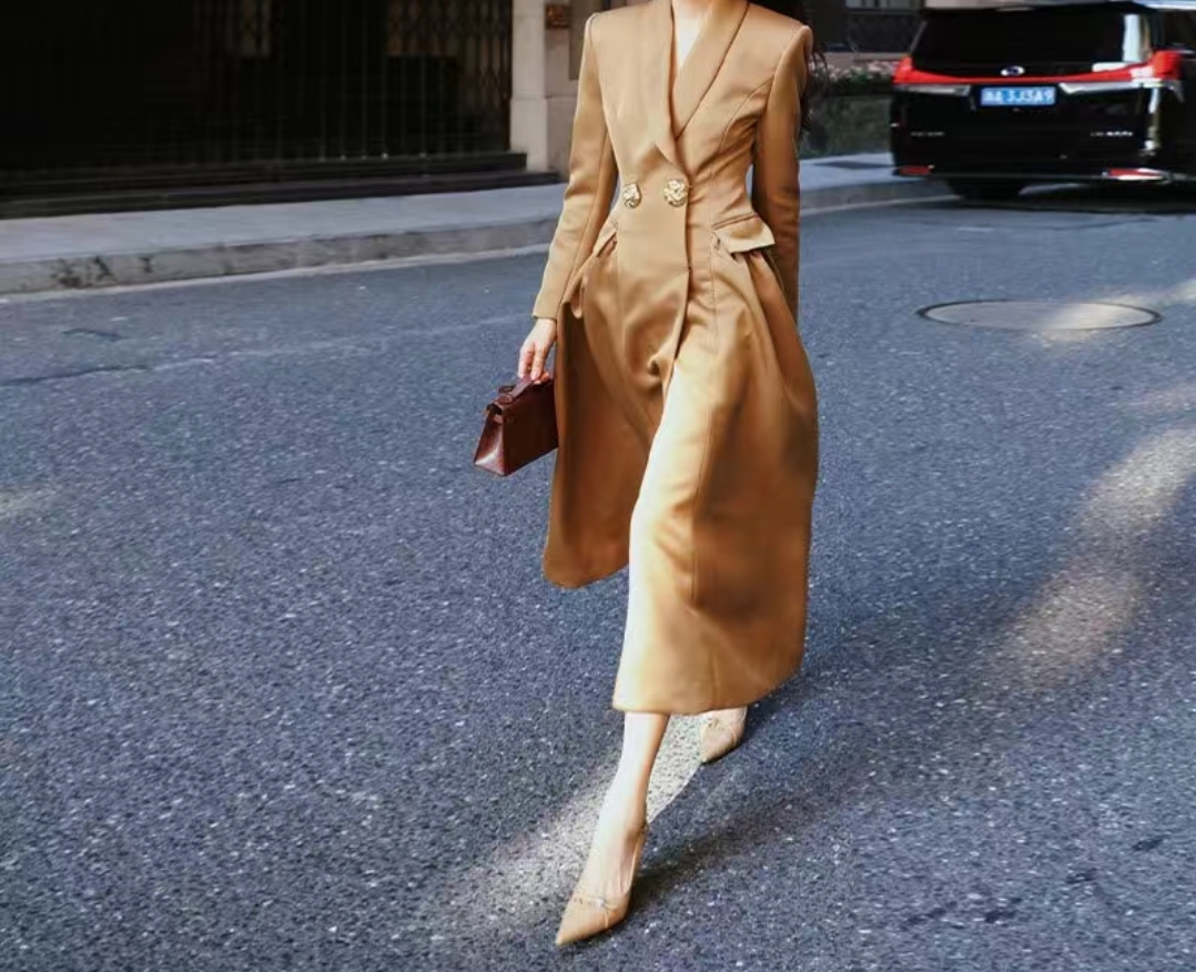 Elegant Long Coat Dress
