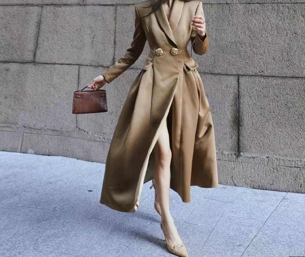 Elegant Long Coat Dress