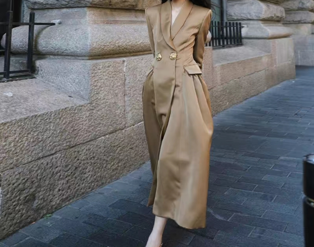 Elegant Long Coat Dress
