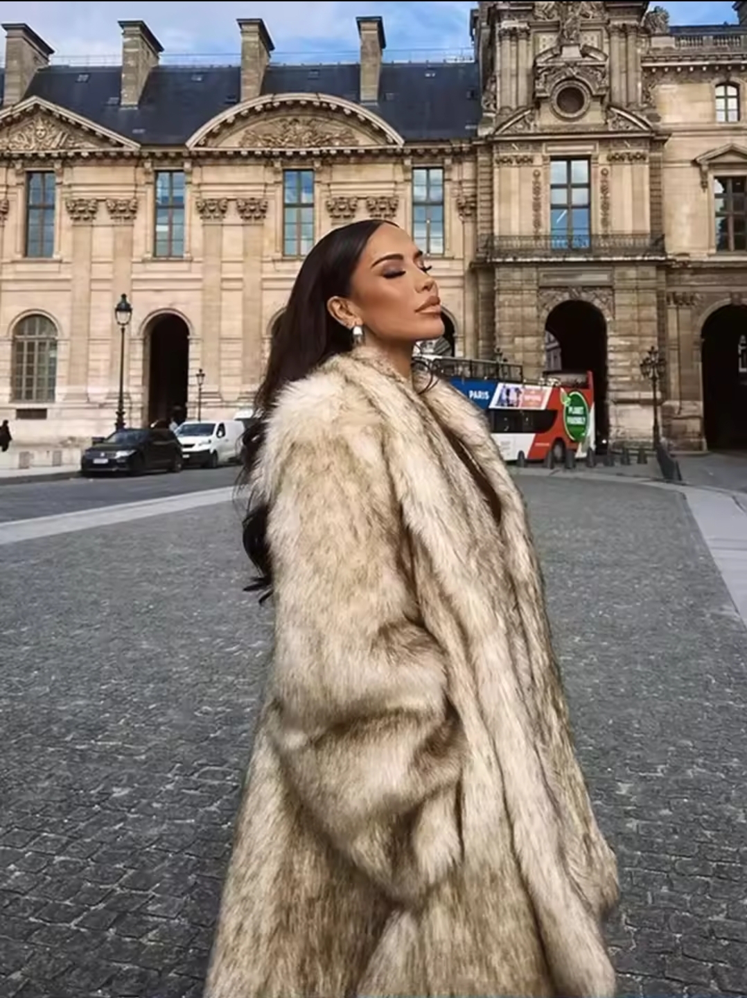 Elegant Fur Coat