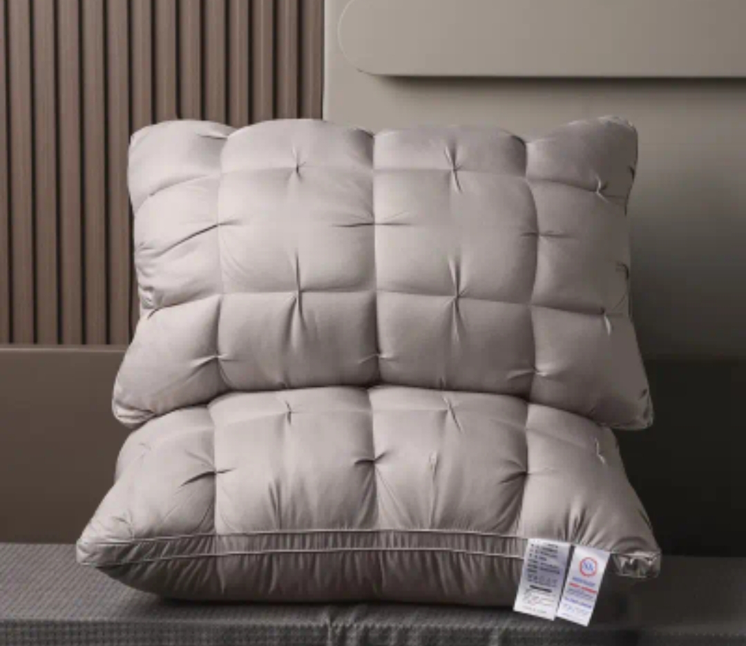 Premium Plush Pillows