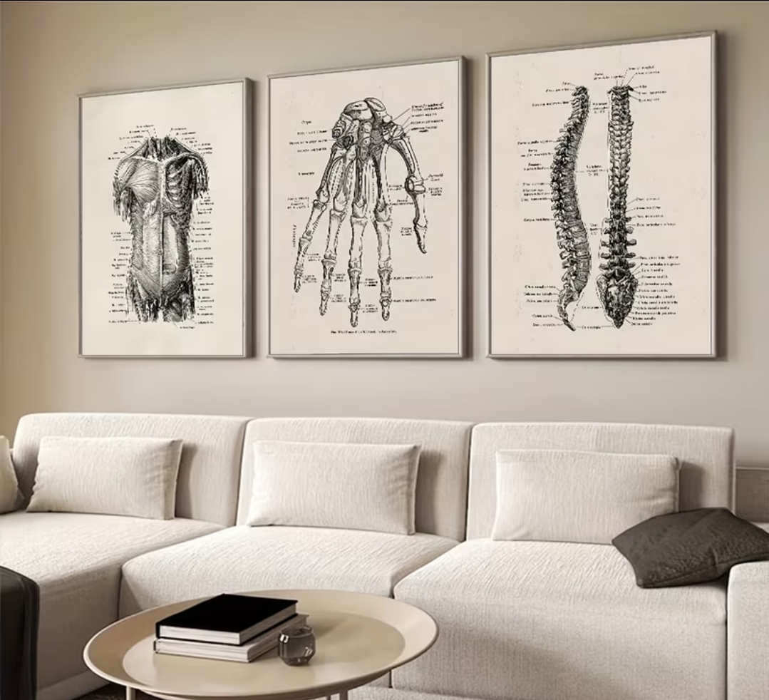 Anatomical Wall Art Set
