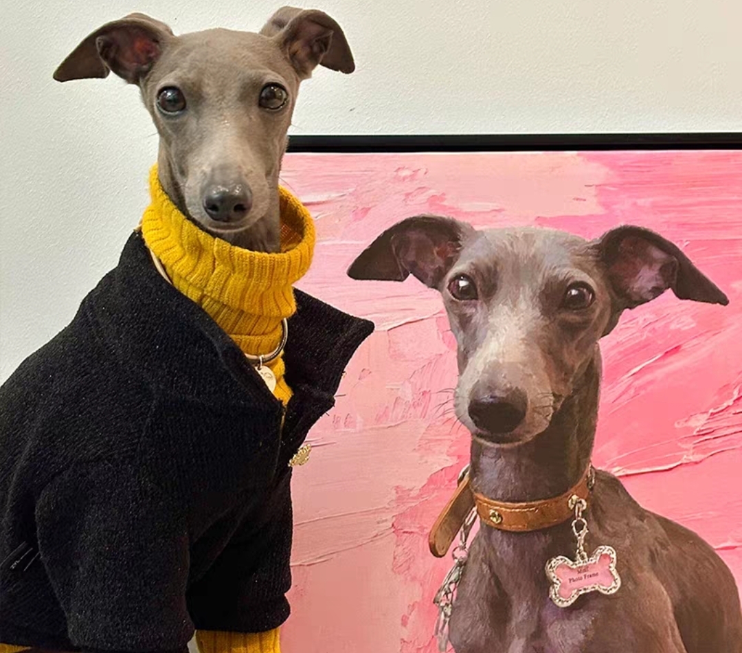 Custom Pet Portrait Oil Painting