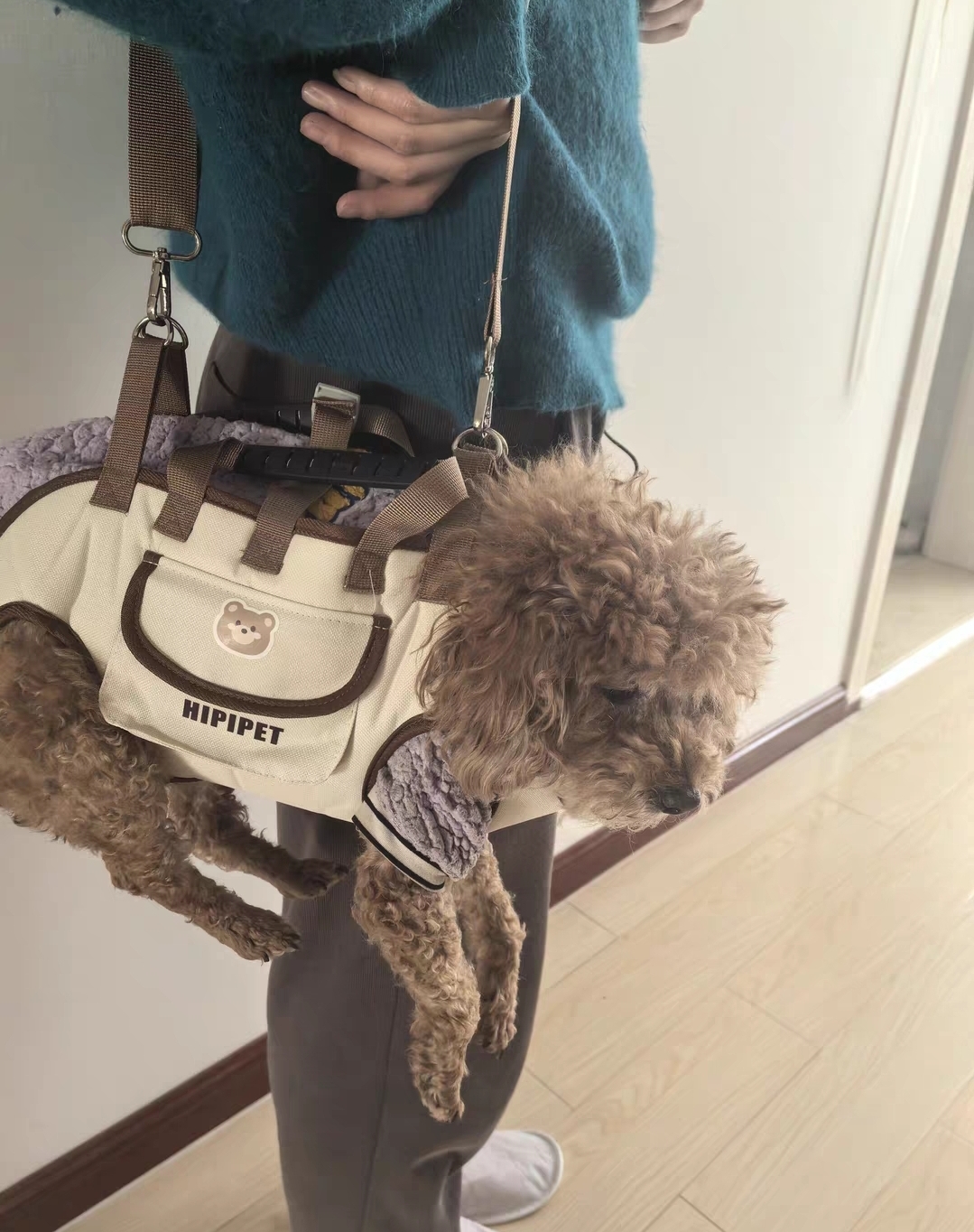 Pet Carrier Backpack