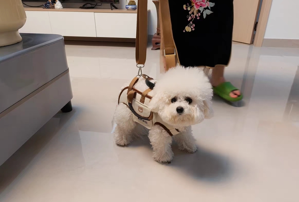 Pet Carrier Backpack