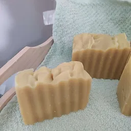 Mango Coconut Cream