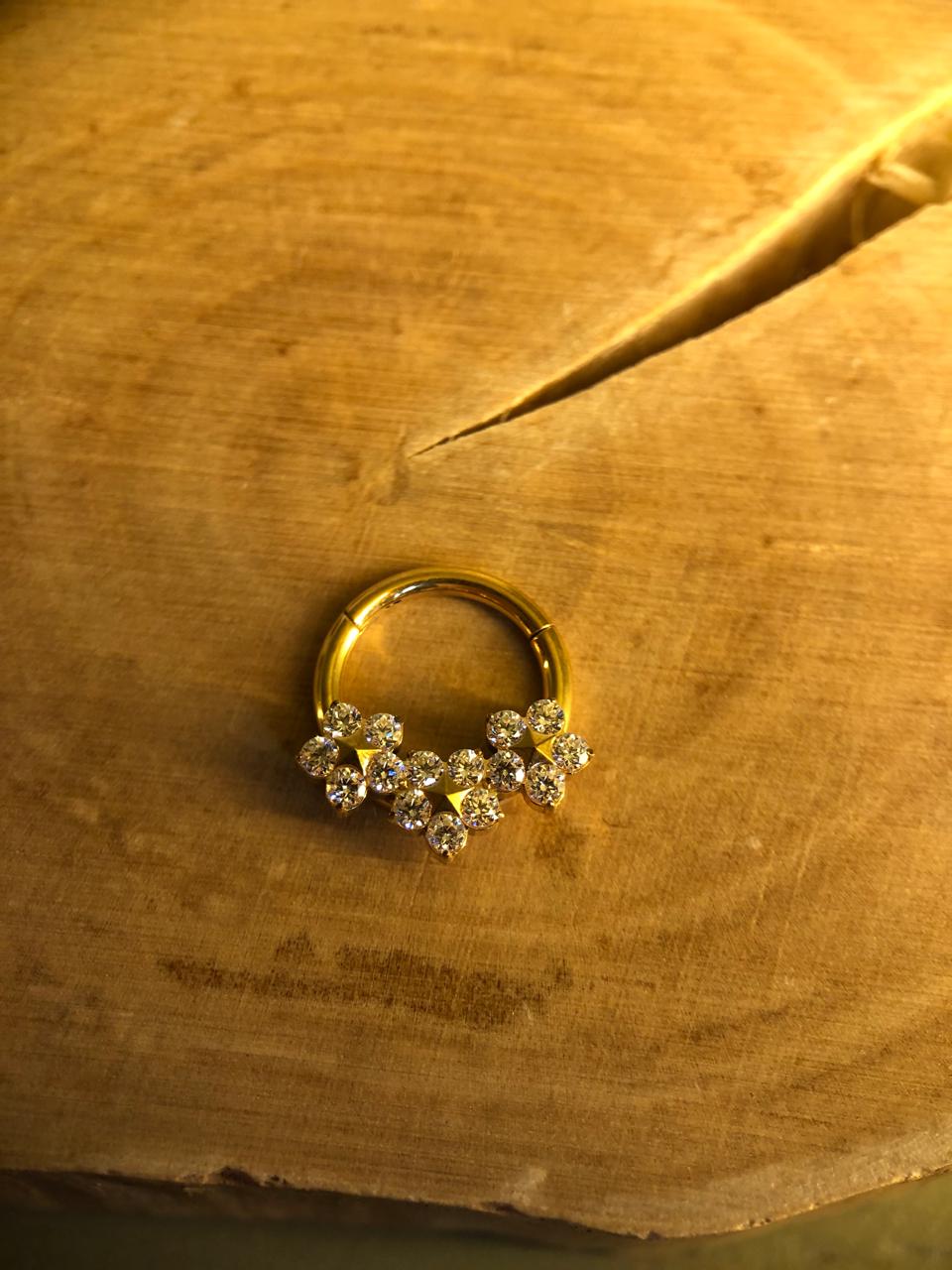 Argola Flores Frontais