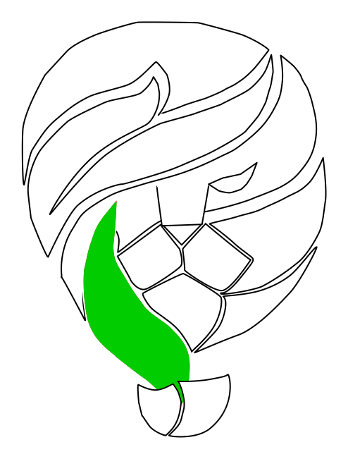 Renovacion plan startup