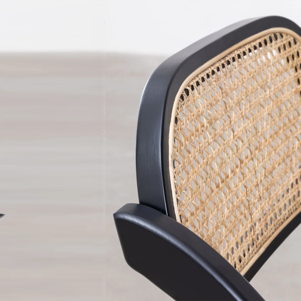 Rattan folding chair