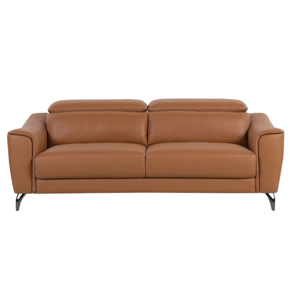 Modern leather sofa