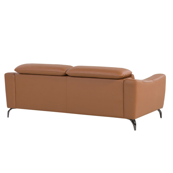Modern leather sofa