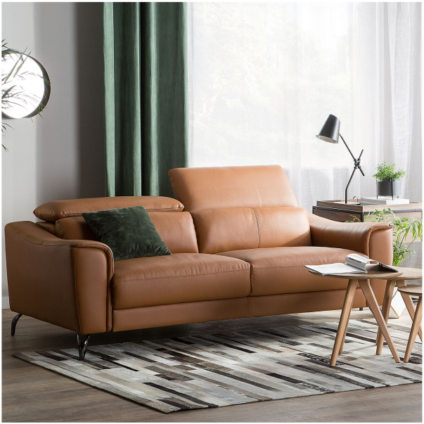 Modern leather sofa