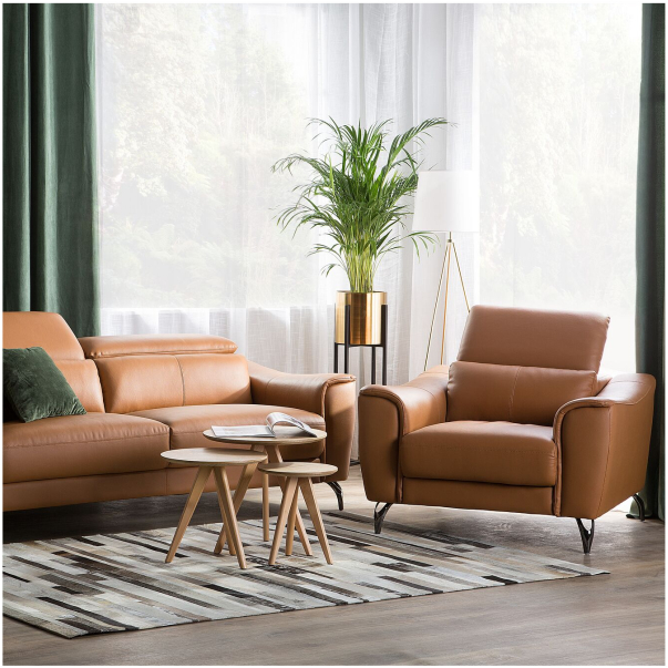 Modern leather sofa
