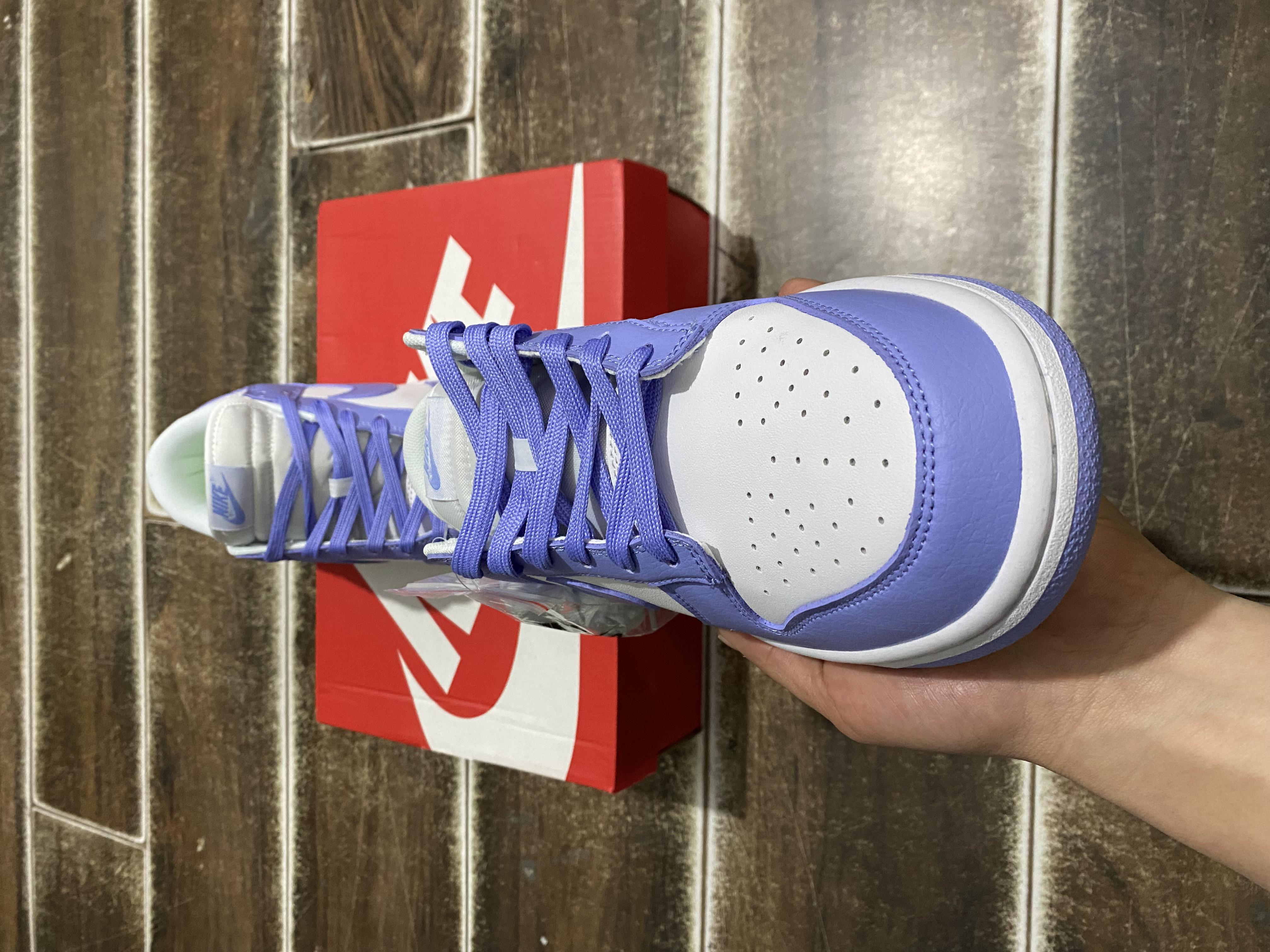 Nike Dunk (Rif.Int 00269)