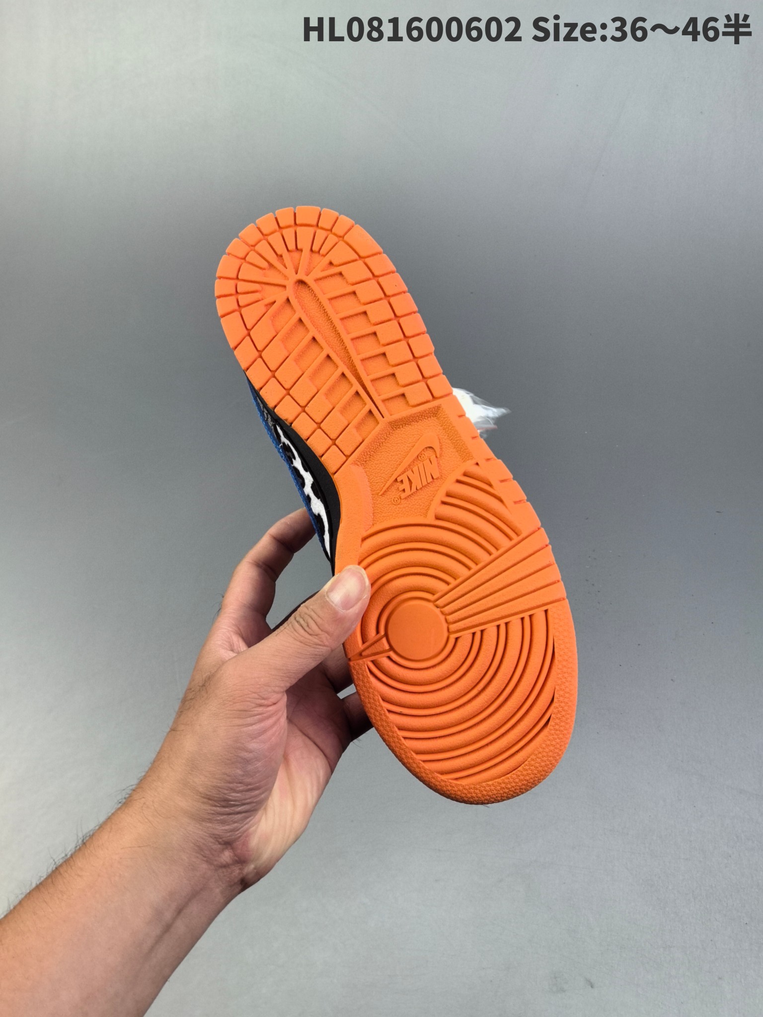 Nike Dunk (Rif.Int 00235)