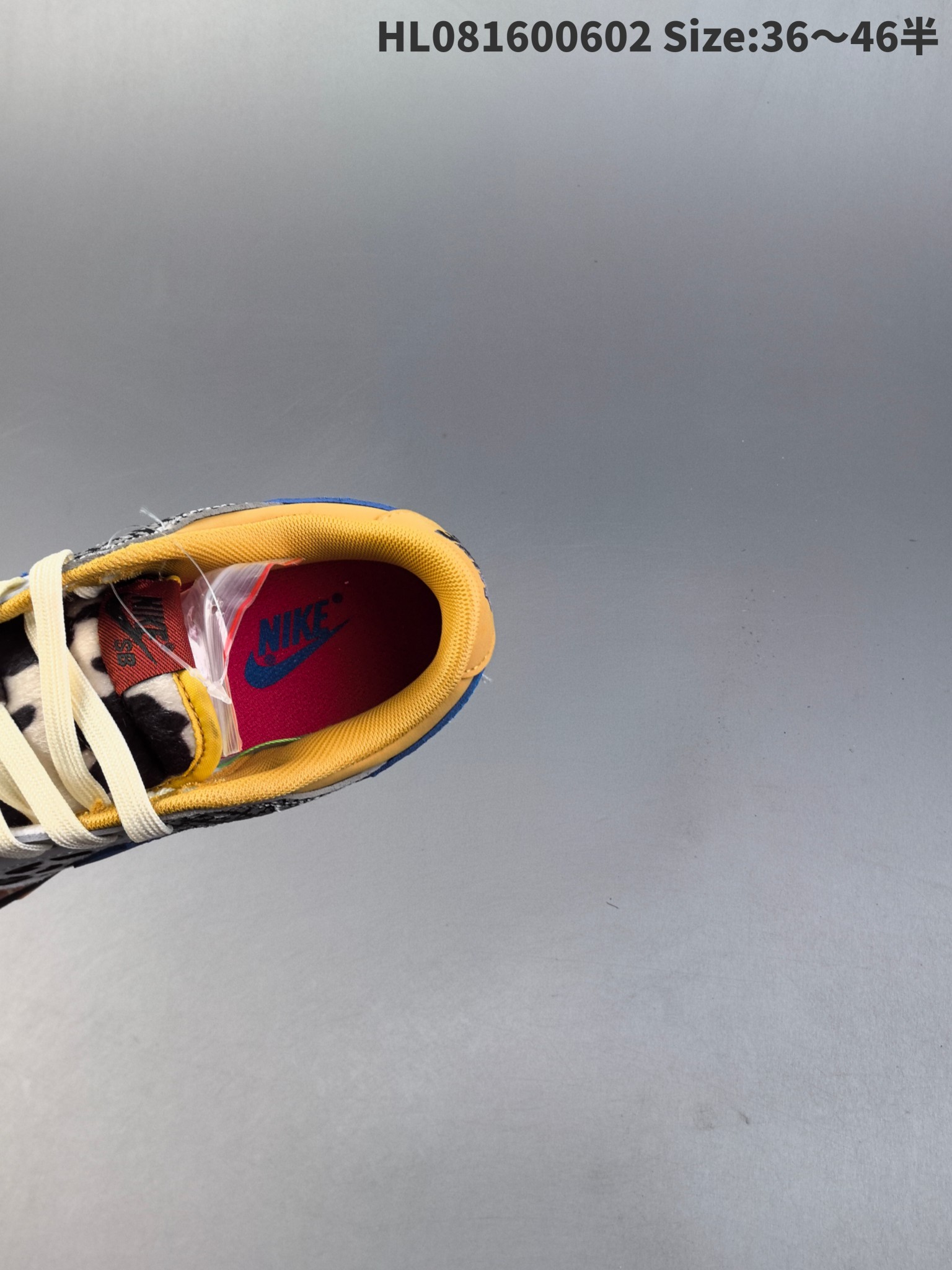 Nike Dunk (Rif.Int 00235)