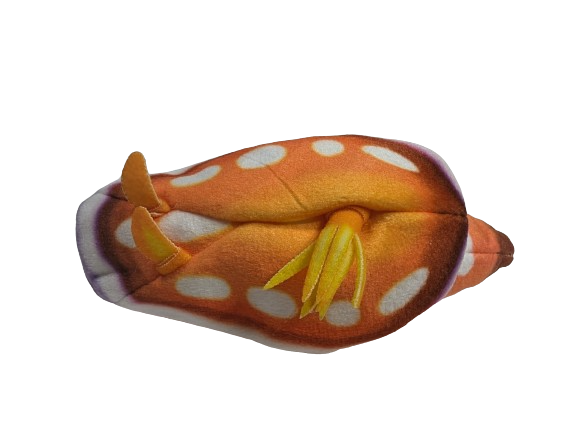 Sea Slug Plush